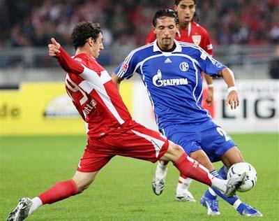 办地向四季 办地向四季