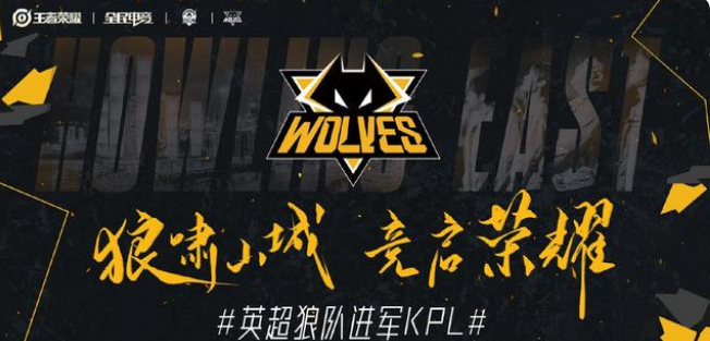 应提供 应提供